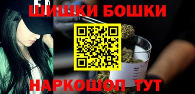 спиды Кингисепп