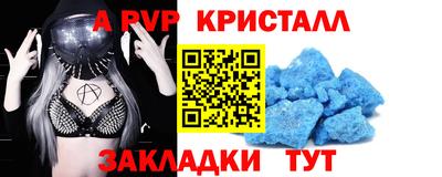 спиды Кингисепп