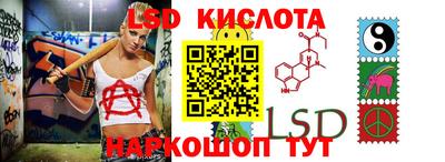 спиды Кингисепп