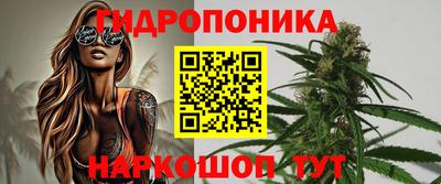 стафф Кинель
