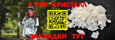 спиды Кингисепп