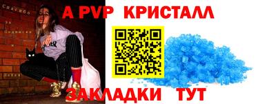 спиды Кингисепп