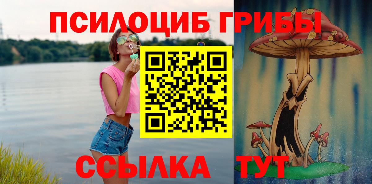 Краснодар  Псилоцибиновые грибы GOLDEN TEACHER  Вход с VPN 